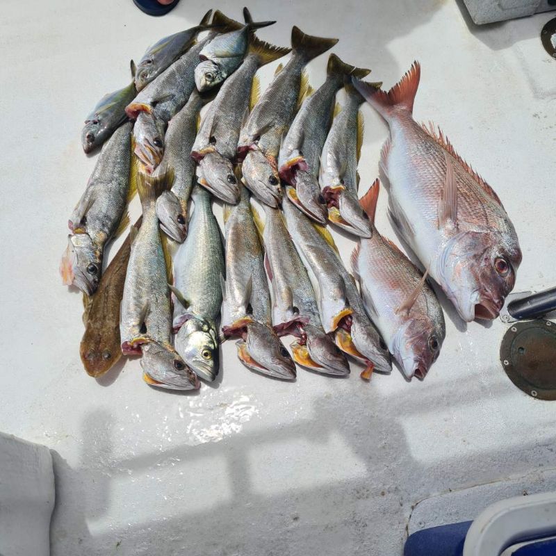 gold coast fishing in winter